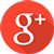 Google+ icon